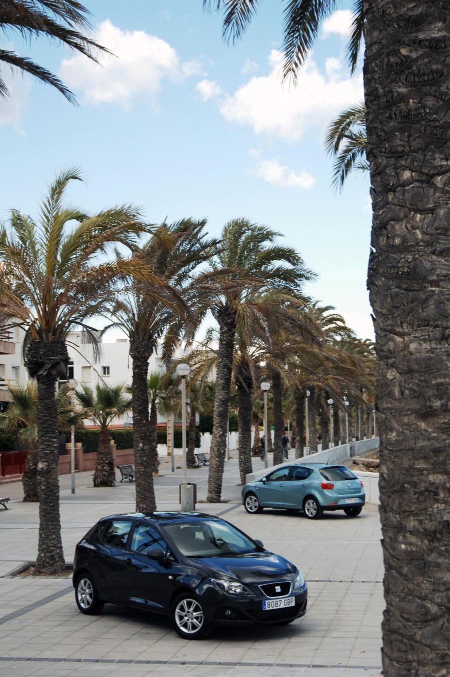  Seat Ibiza 2008 года  (фото 202 из 287)